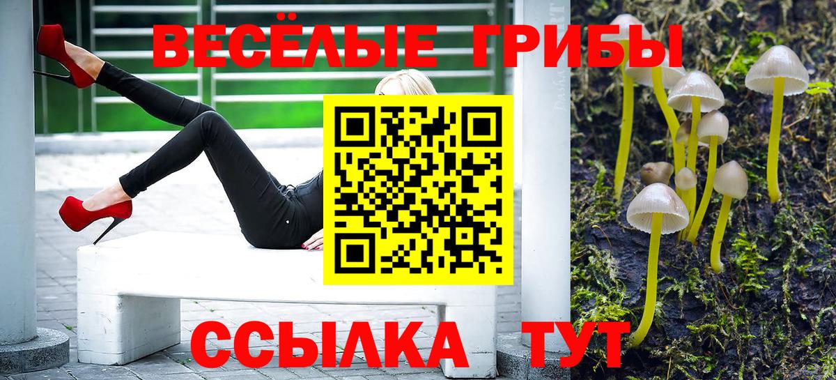 Печора  Галлюциногенные грибы Magic Shrooms  Вход с VPN 