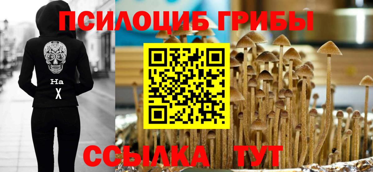 Галлюциногенные грибы мухоморы Печора